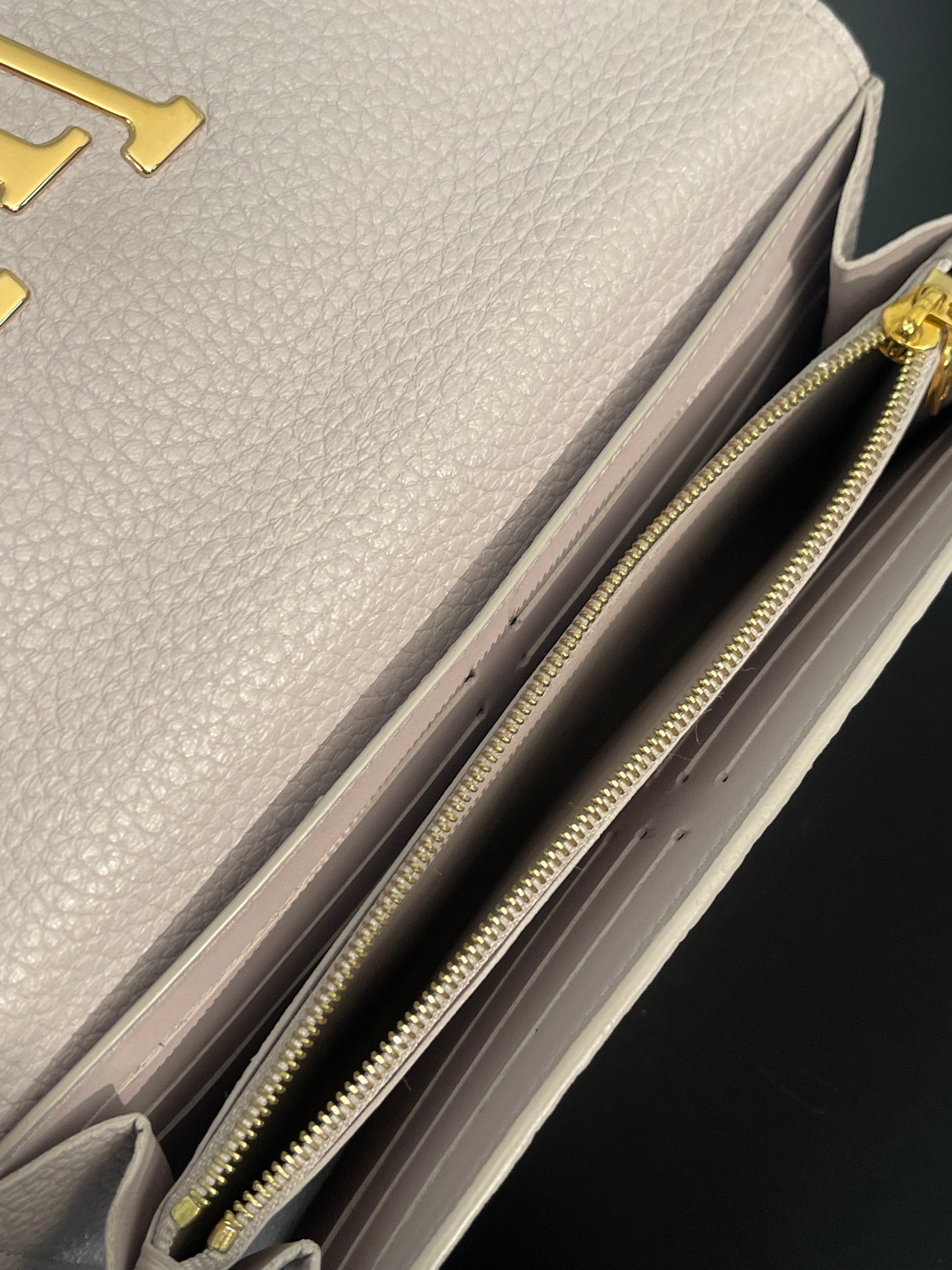 Louis Vuitton Pre-Owned Taurillon Capucine Leather Long Wallet