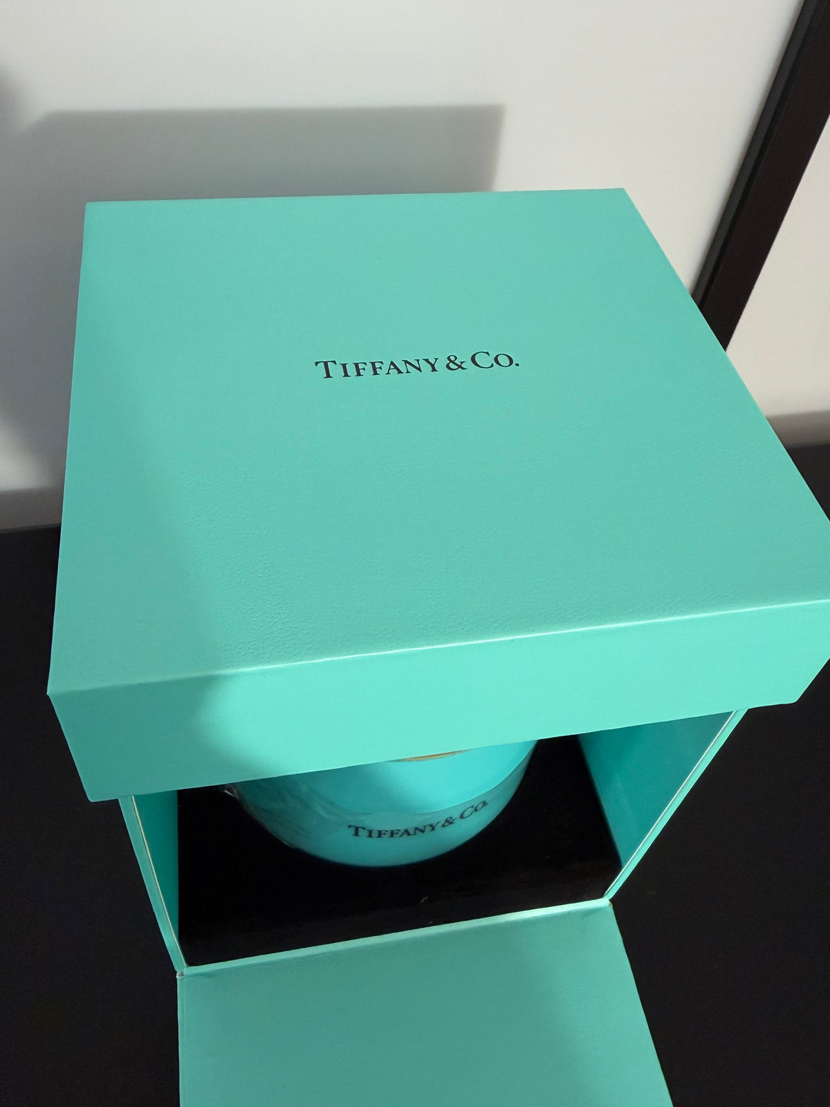 Tiffany & Co Carousel Musical Snow Globe Brand New In Box Christmas Gift