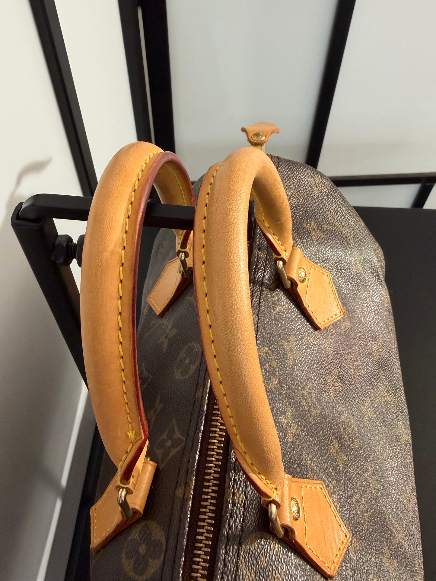 Louis Vuitton Pre-Owned Brown Monogram Canvas Speedy 30 Handbag