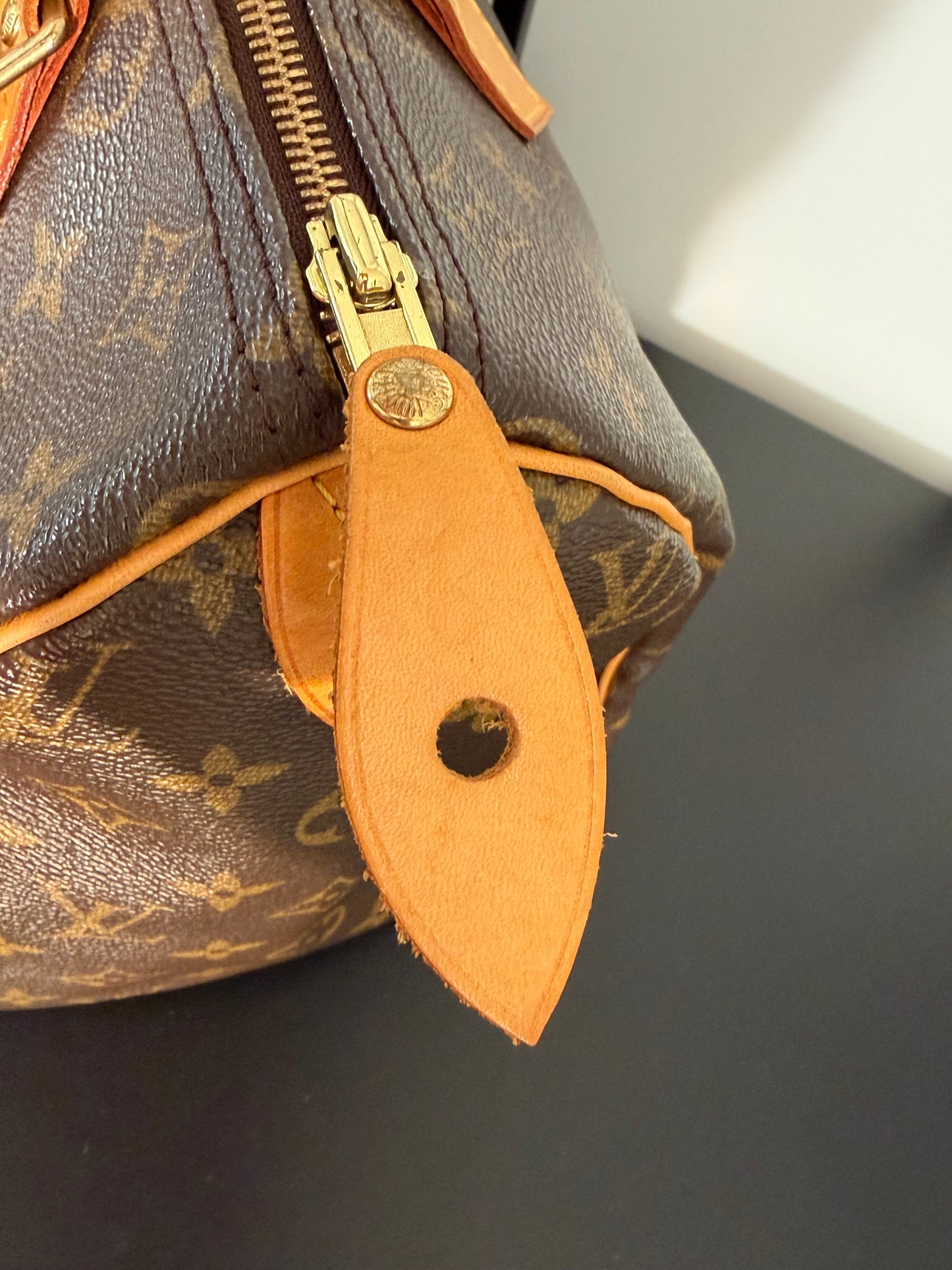 Louis Vuitton Pre-Owned Brown Monogram Canvas Speedy 30 Handbag